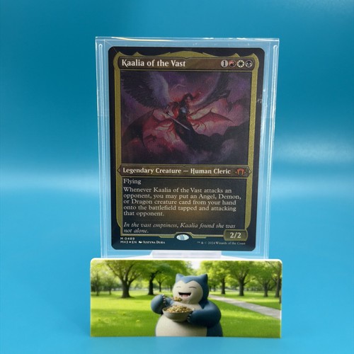 Kaalia del vasto incisione - del, su